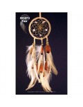 Dream Catcher