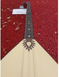 Ceviz Fishman Saz