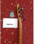 Ceviz Fishman Saz